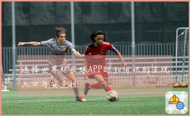 选择世界杯买球APP时如何识别正规入口与安全性