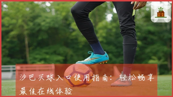 沙巴买球入口使用指南：轻松畅享最佳在线体验