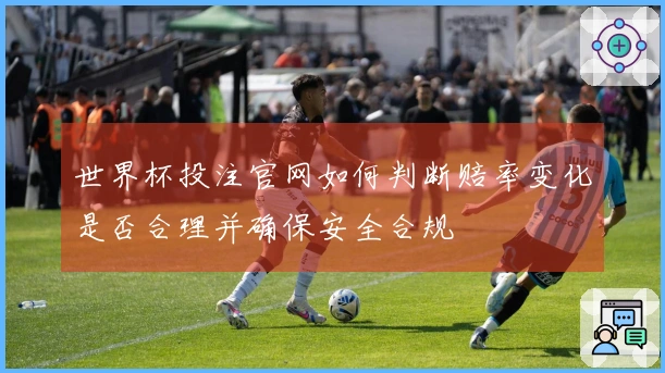 世界杯投注官网如何判断赔率变化是否合理并确保安全合规