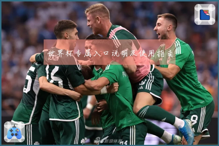 世界杯专属入口说明及使用指南