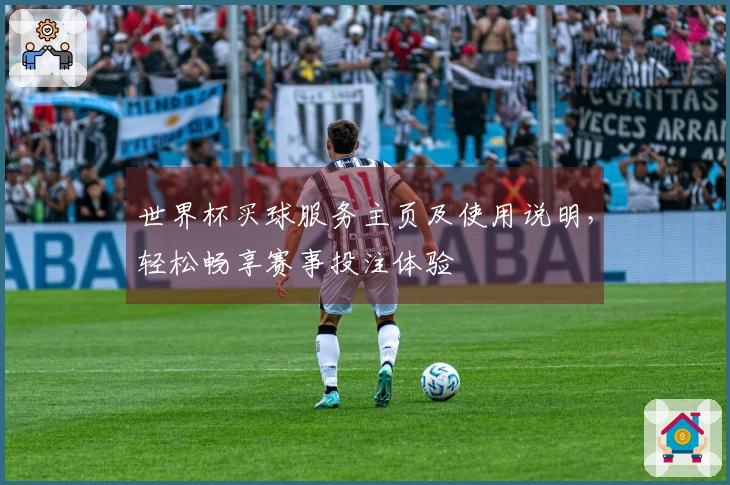 世界杯买球服务主页及使用说明，轻松畅享赛事投注体验