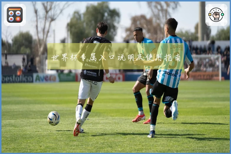 世界杯专属入口说明及使用指南