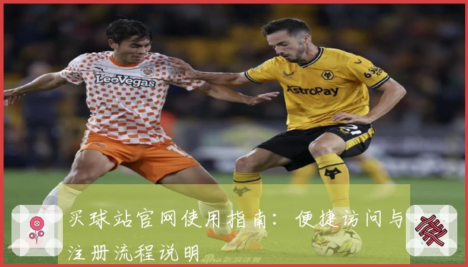 买球站官网使用指南：便捷访问与注册流程说明