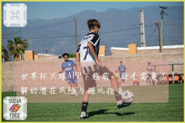 世界杯买球APP下载前，新手需要了解的潜在风险与避坑指南