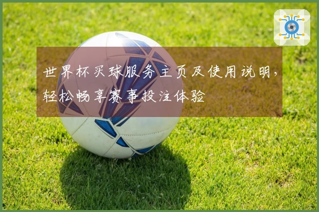 世界杯买球服务主页及使用说明，轻松畅享赛事投注体验