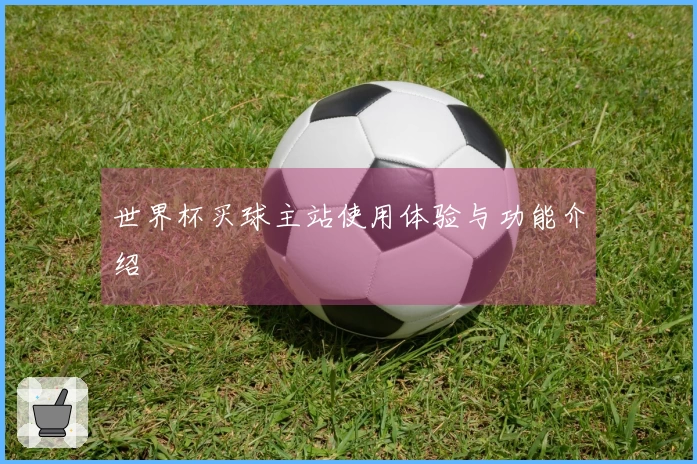 世界杯买球主站使用体验与功能介绍