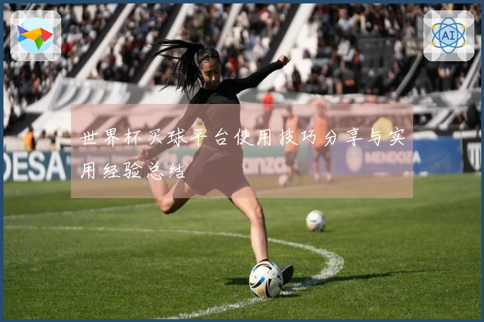 世界杯买球平台使用技巧分享与实用经验总结
